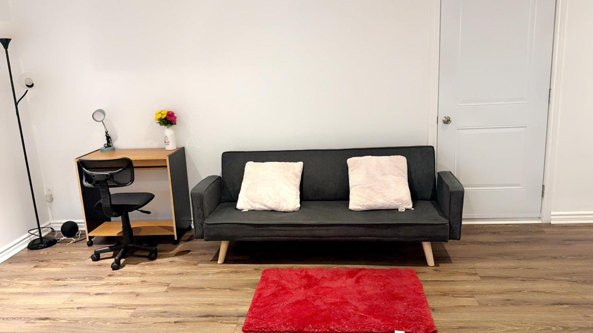 Spacious Basement